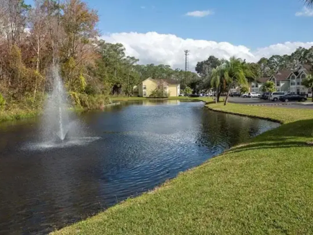 Alojamiento - aritours - Florida-65