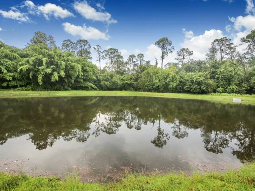 Alojamientos - aritours - Florida-90