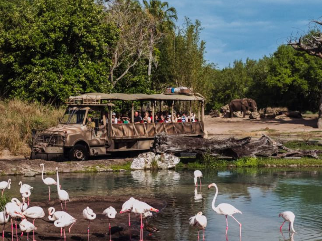 Aritours Travel parques - destinos612