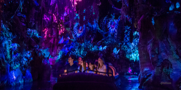 Animal Kingdom Disney 2025 con Aritours: Guía, Atracciones y Novedades