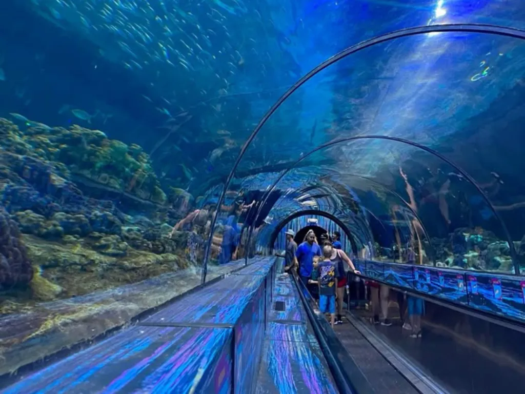 Aritours Travel parques - destinos520